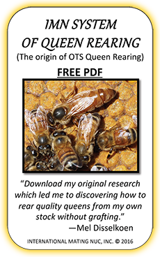 On-The-Spot Queen Rearing